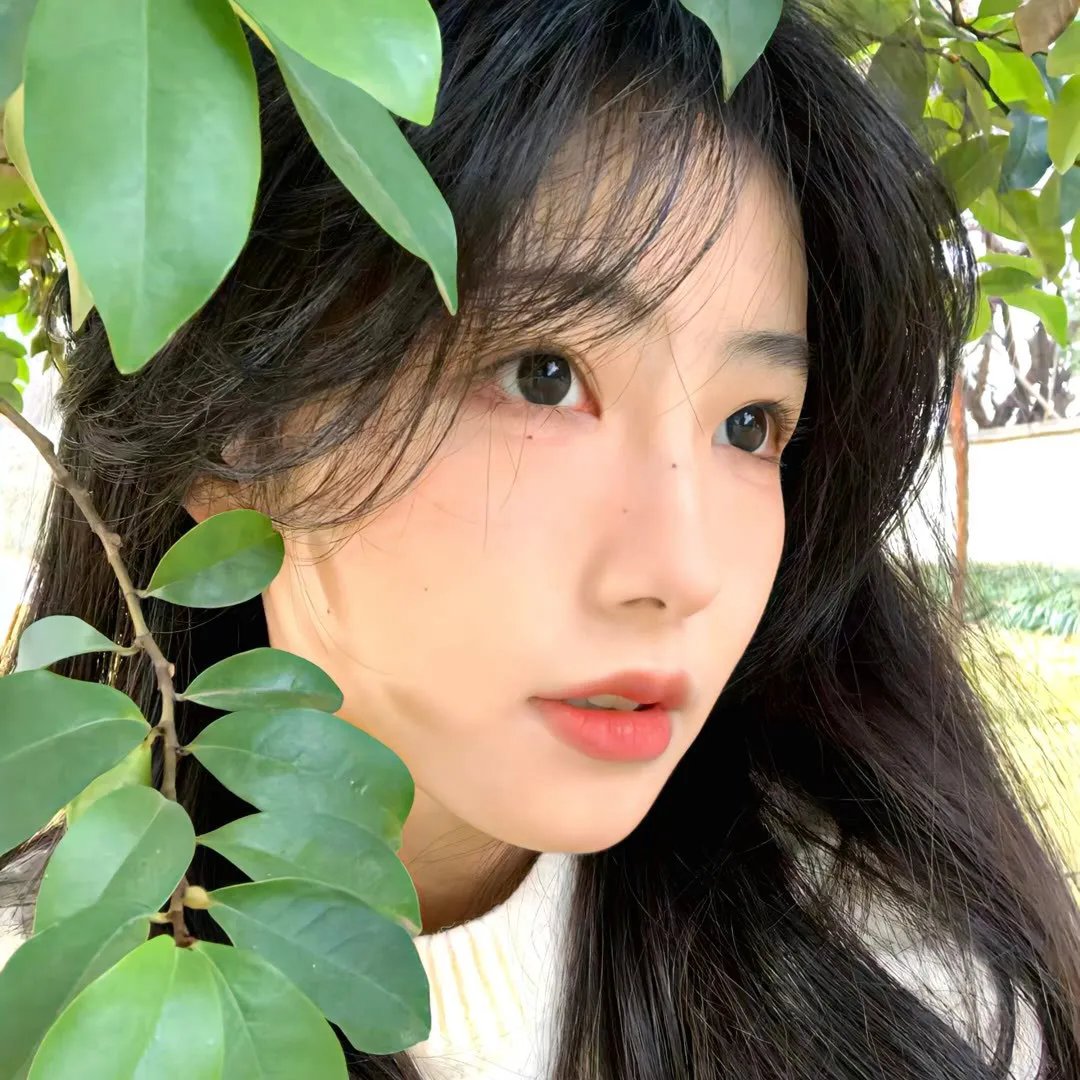 未择之路